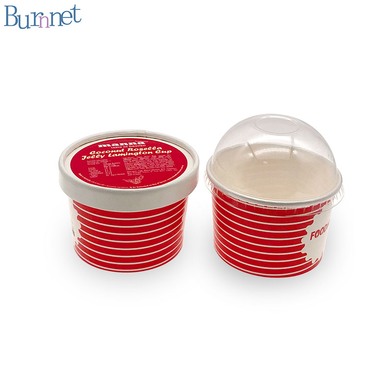 Ice cream cup_8