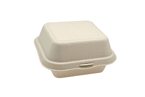 Paper Pulp Hamburger Box