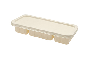 Paper Soup Cup with Lid