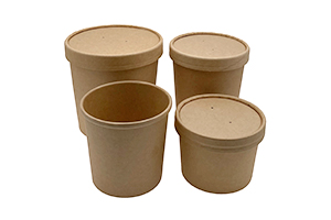 Kraft Lunch Box with Lid